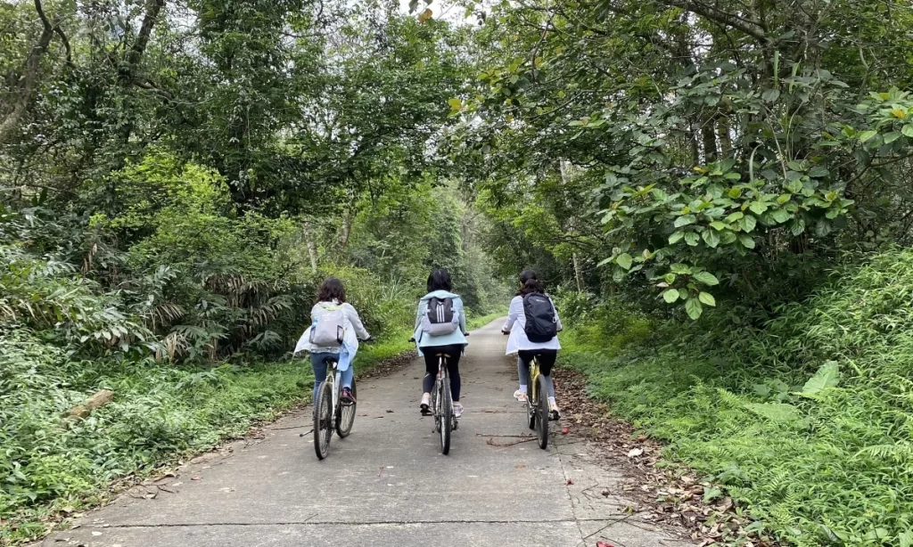 Cucphuongpark
