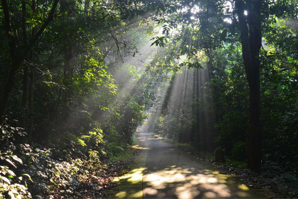 Cucphuongpark