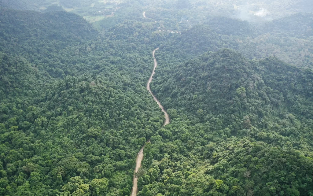 Cucphuongpark