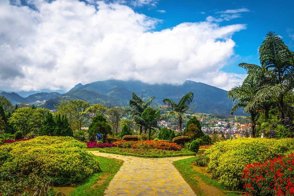 Ham Rong Mountain