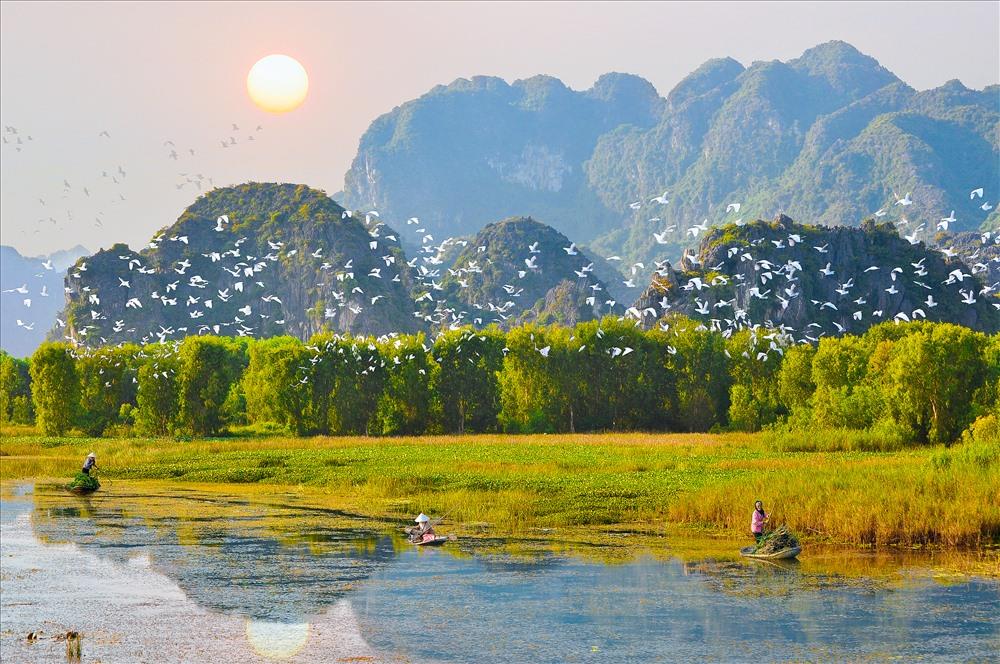  The Bird Sanctuary
